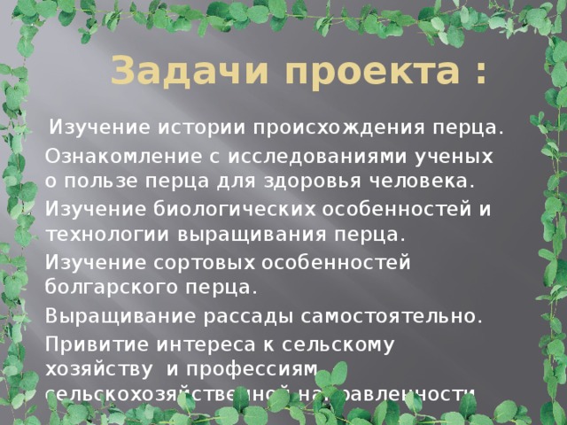Задачи проекта :  Изучение истории происхождения перца. Ознакомление с исследованиями ученых о пользе перца для здоровья человека. Изучение биологических особенностей и технологии выращивания перца. Изучение сортовых особенностей болгарского перца. Выращивание рассады самостоятельно. Привитие интереса к сельскому хозяйству и профессиям сельскохозяйственной направленности 