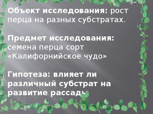 Объект исследования: рост перца на разных субстратах.   Предмет исследования: семена перца сорт «Калифорнийское чудо»   Гипотеза: влияет ли различный субстрат на развитие рассады   