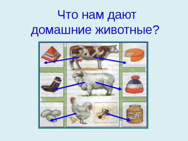  Что нам дают  домашние животные? 