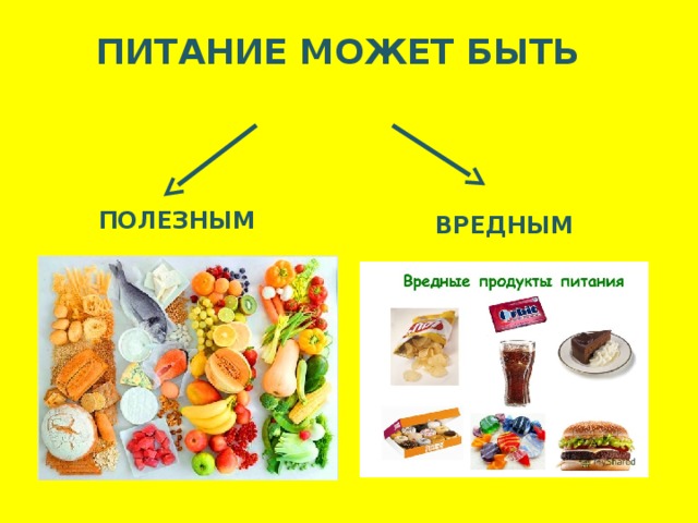 ПИТАНИЕ МОЖЕТ БЫТЬ ПОЛЕЗНЫМ ВРЕДНЫМ 