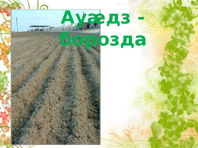 Ауæдз - борозда 