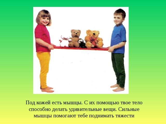 Под кожей есть мышцы. С их помощью твое тело способно делать удивительные вещи. Сильные мышцы помогают тебе поднимать тяжести 