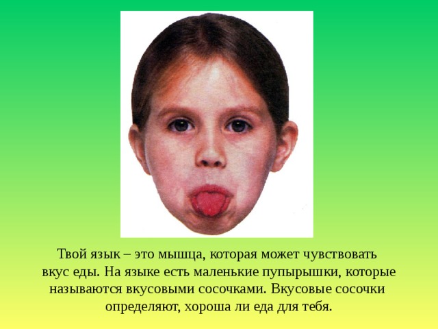 Твой язык – это мышца, которая может чувствовать вкус еды. На языке есть маленькие пупырышки, которые называются вкусовыми сосочками. Вкусовые сосочки определяют, хороша ли еда для тебя. 