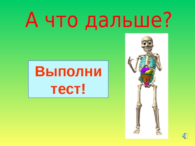Выполни тест! 