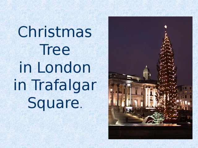 Christmas Tree in London in Trafalgar Square . 