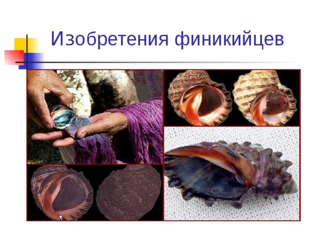 Из обретения финикийцев 