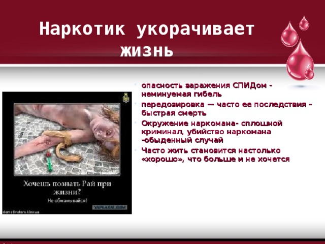 Наркотик укорачивает жизнь опасность заражения СПИДом - неминуемая гибель передозировка — часто ее последствия – быстрая смерть Окружение наркомана- сплошной криминал, убийство наркомана -обыденный случай Часто жить становится настолько «хорошо», что больше и не хочется 