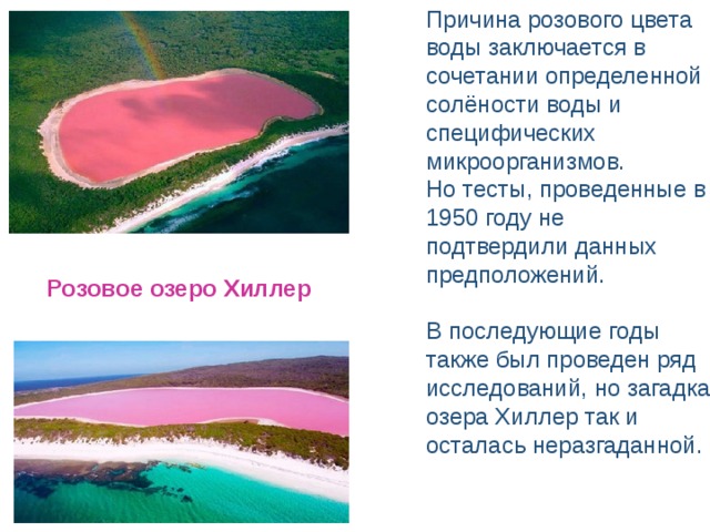Причина розового цвета воды заключается в сочетании определенной солёности воды и специфических микроорганизмов. Но тесты, проведенные в 1950 году не подтвердили данных предположений.  В последующие годы также был проведен ряд исследований, но загадка озера Хиллер так и осталась неразгаданной.     Розовое озеро Хиллер 