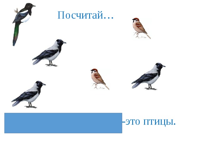 Посчитай…  Сорока, ворона, воробей-это птицы.  