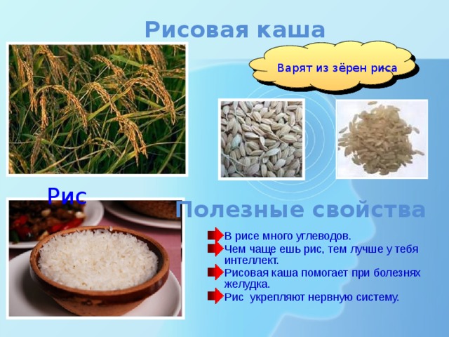 Рисовая каша Варят из зёрен риса Рис Полезные свойства В рисе много углеводов. Чем чаще ешь рис, тем лучше у тебя интеллект. Рисовая каша помогает при болезнях желудка. Рис укрепляют нервную систему. 