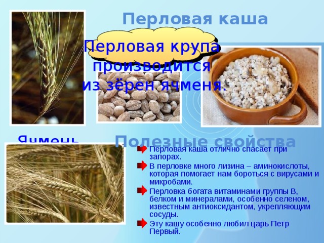 Перловая каша Перловая крупа производится из зёрен ячменя. Ячмень Полезные свойства Перловая каша отлично спасает при запорах. В перловке много лизина – аминокислоты, которая помогает нам бороться с вирусами и микробами. Перловка богата витаминами группы В, белком и минералами, особенно селеном, известным антиоксидантом, укрепляющим сосуды. Эту кашу особенно любил царь Петр Первый. 