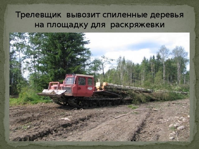 Трелевщик вывозит спиленные деревья на площадку для раскряжевки 