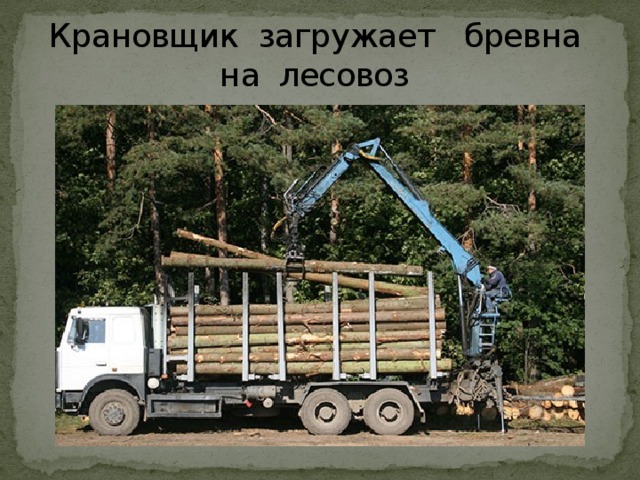 Крановщик загружает бревна на лесовоз 