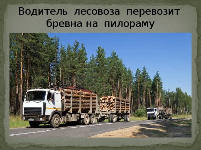 Водитель лесовоза перевозит бревна на пилораму 