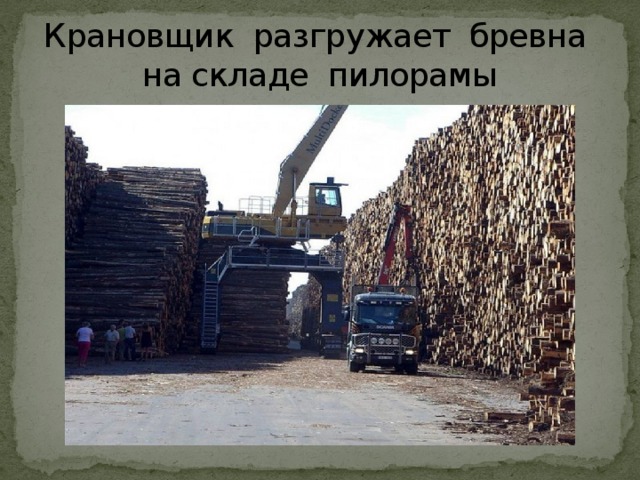 Крановщик разгружает бревна на складе пилорамы 