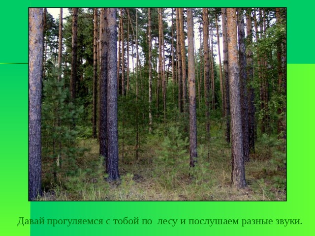 Давай прогуляемся с тобой по лесу и послушаем разные звуки. 