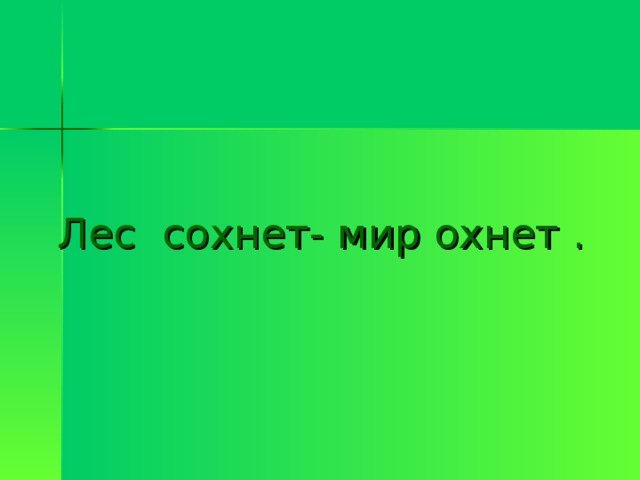 Лес сохнет- мир охнет . 