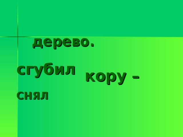 дерево. сгубил  кору – СНЯЛ 