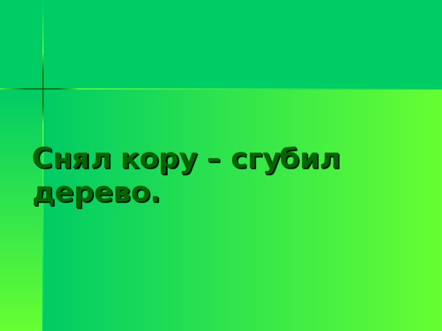Снял кору – сгубил дерево.  