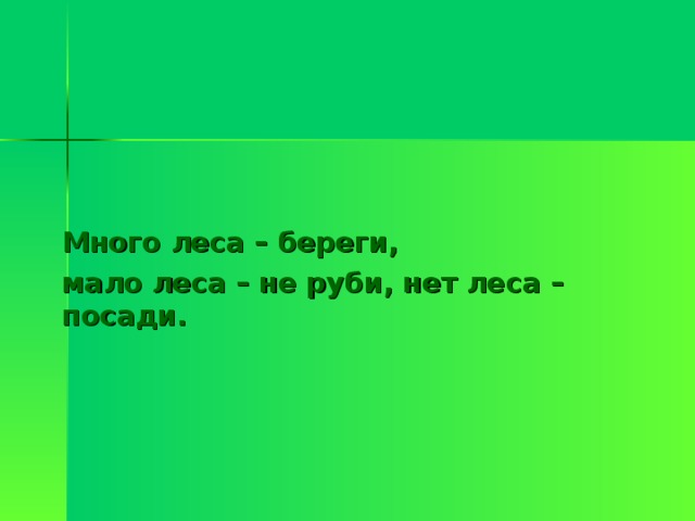 Много леса – береги, мало леса – не руби, нет леса – посади.  