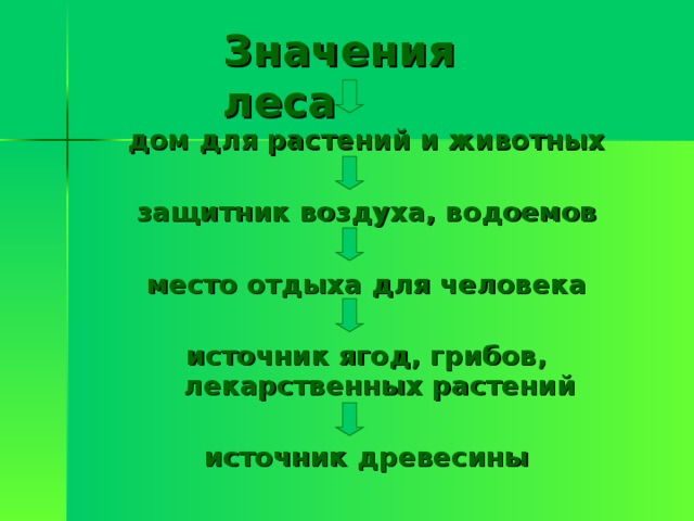 Значения леса дом для растений и животных  защитник воздуха, водоемов  место отдыха для человека  источник ягод, грибов, лекарственных растений  источник древесины 