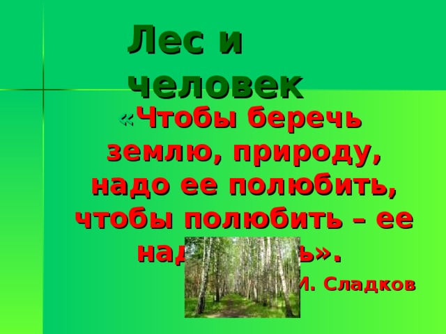 Лес и человек  « Чтобы беречь землю, природу, надо ее полюбить, чтобы полюбить – ее надо знать». Н. И. Сладков 