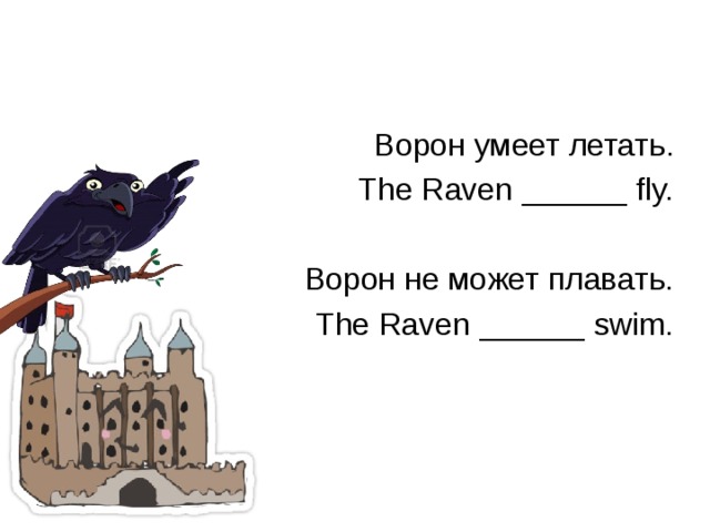 Ворон умеет летать. The Raven ______ fly. Ворон не может плавать. The Raven ______ swim. 