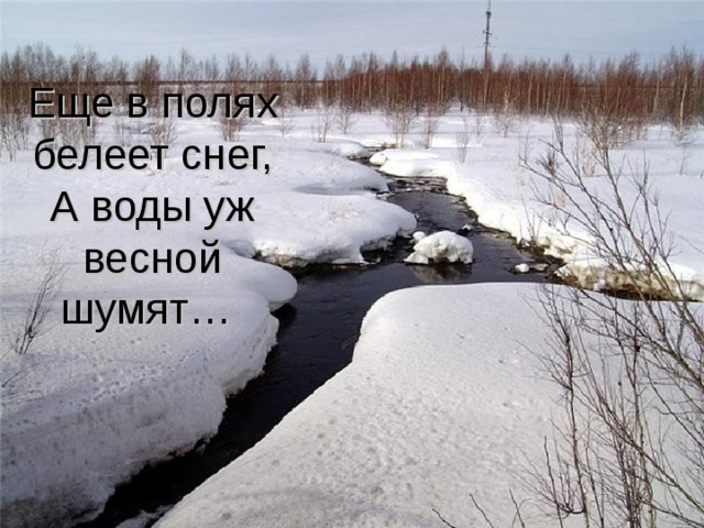Еще в полях белеет снег,  А воды уж весной шумят… 