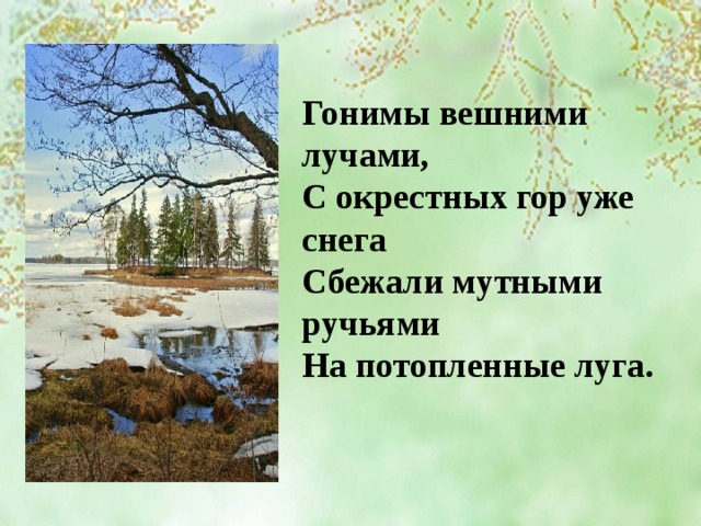  Гонимы вешними лучами, С окрестных гор уже снега Сбежали мутными ручьями На потопленные луга. 