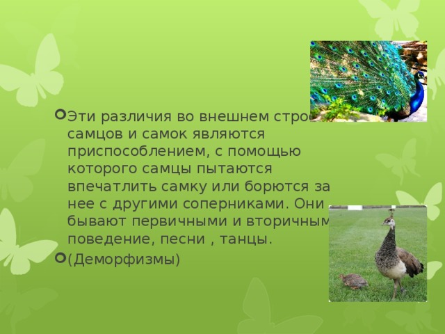 Эти различия во внешнем строении самцов и самок являются приспособлением, с помощью которого самцы пытаются впечатлить самку или борются за нее с другими соперниками. Они бывают первичными и вторичными( поведение, песни , танцы. (Деморфизмы) 