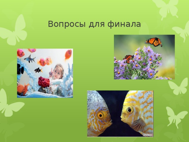 Вопросы для финала 