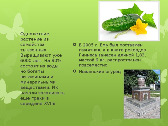 В 2005 г. Ему был поставлен памятник, а в книге рекордов Гиннеса занесен длиной 1,83, массой 6 кг, распространен повсеместно Нежинский огурец Однолетние растение из семейства тыквенных. Выращивают уже 6000 лет. На 90% состоят из воды, но богаты витаминами и минеральными веществами. Их начали засаливать еще греки в середине XVIIв. 