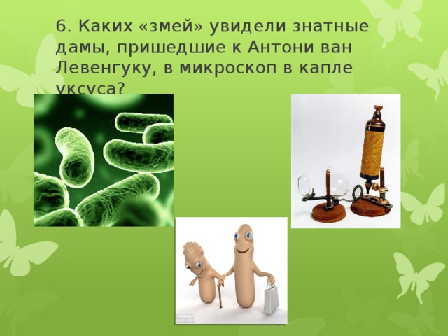 6. Каких «змей» увидели знатные дамы, пришедшие к Антони ван Левенгуку, в микроскоп в капле уксуса? 