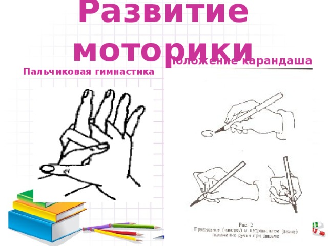 Развитие моторики Положение карандаша Пальчиковая гимнастика 