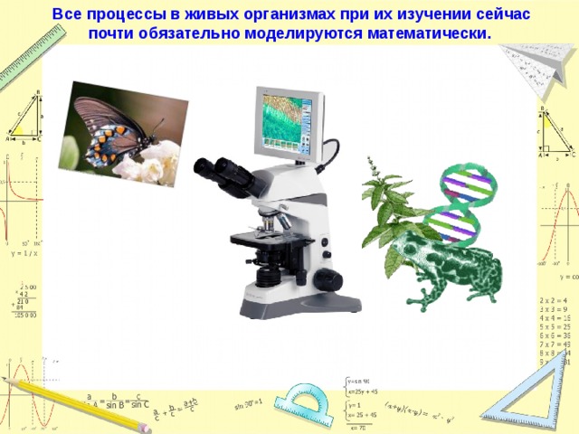 Все процессы в живых организмах при их изучении сейчас почти обязательно моделируются математически. 