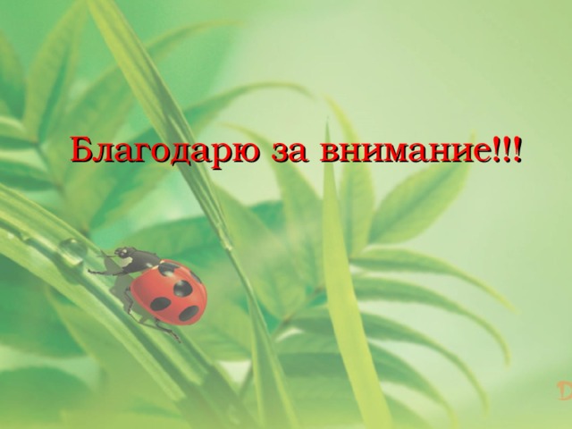 Благодарю за внимание!!! 