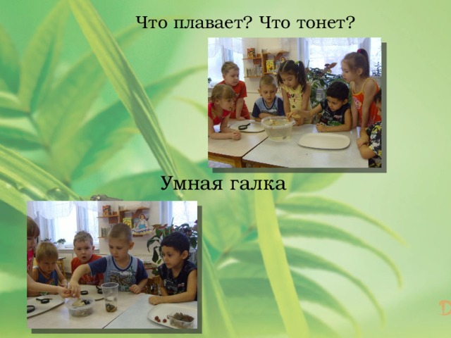 Что плавает? Что тонет? Умная галка 