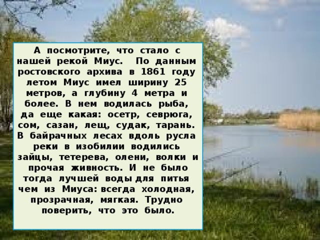  А посмотрите, что стало с нашей рекой Миус. По данным ростовского архива в 1861 году летом Миус имел ширину 25 метров, а глубину 4 метра и более. В нем водилась рыба, да еще какая: осетр, севрюга, сом, сазан, лещ, судак, тарань. В байрачных лесах вдоль русла реки в изобилии водились зайцы, тетерева, олени, волки и прочая живность. И не было тогда лучшей воды для питья чем из Миуса: всегда холодная, прозрачная, мягкая. Трудно поверить, что это было.  