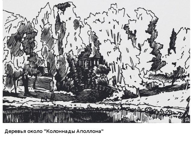 Деревья около 