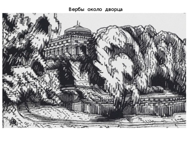 Вербы около дворца 