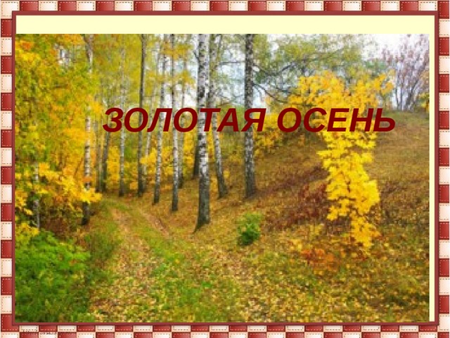 ЗОЛОТАЯ ОСЕНЬ 