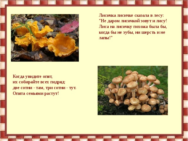Лисичка лисичке сказала в лесу:  