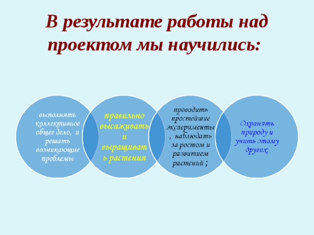 В результате работы над проектом мы научились:   