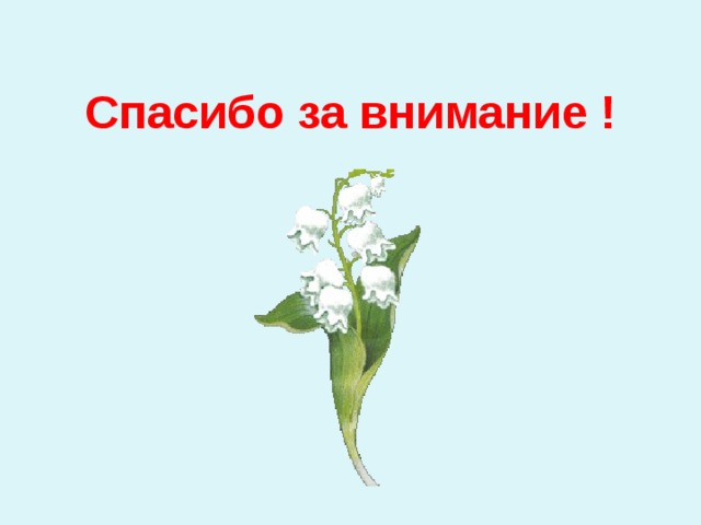 Спасибо за внимание ! 