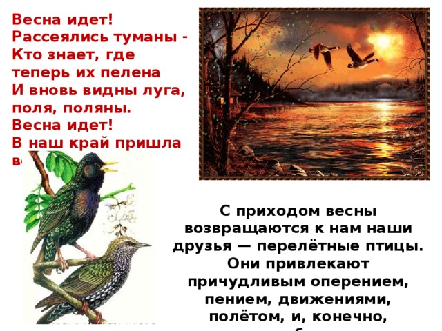 Весна идет! Рассеялись туманы - Кто знает, где теперь их пелена И вновь видны луга, поля, поляны. Весна идет! В наш край пришла весна! С приходом весны возвращаются к нам наши друзья — перелётные птицы. Они привлекают причудливым оперением, пением, движениями, полётом, и, конечно, загадочным образом жизни. 