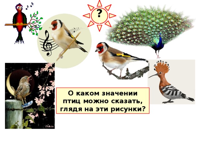 ? ? О каком значении птиц можно сказать, глядя на эти рисунки? 