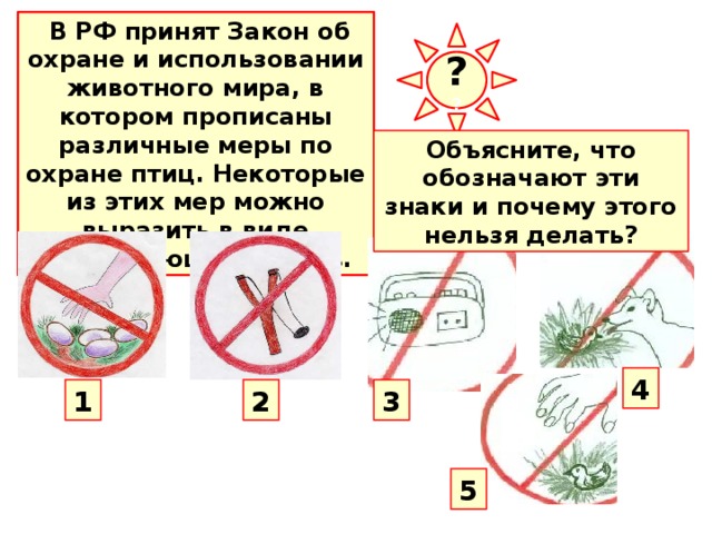  В РФ принят Закон об охране и использовании животного мира, в котором прописаны различные меры по охране птиц. Некоторые из этих мер можно выразить в виде запрещающих знаков. ? ? Объясните, что обозначают эти знаки и почему этого нельзя делать? Птицы - первые и самые надежные помощники человека в истреблении вредных насекомых и их личинок. Если мы будем беречь насекомоядных птиц, у нас всегда будет огромная армия неутомимых работников, которые не допустят поражения лесов и садов вредными насекомыми. Для того чтобы сохранить наших крылатых помощников, нужно прежде всего не губить их самих, а также не трогать их гнезда и яйца. 4 1 3 2 5  