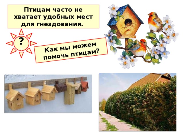 Как мы можем помочь птицам? Птицам часто не хватает удобных мест для гнездования. ? ? Птицам часто не хватает удобных мест для гнездования. Поэтому следует уже осенью или зимой развешивать в лесу, на огородах и в садах скворечники и другие искусственные гнездовья, а также сажать кустарники - укрытия для гнезд.  