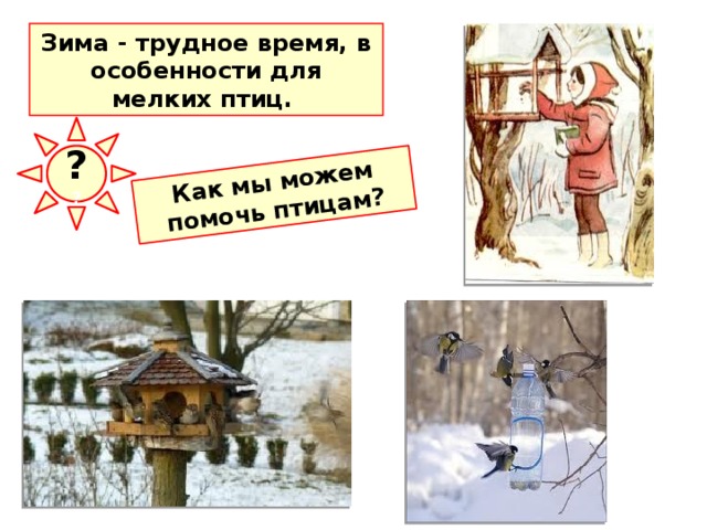 Как мы можем помочь птицам? Зима - трудное время, в особенности для мелких птиц.  ? ? Зима - трудное время, в особенности для мелких птиц.  В сильные морозы или в метель не всегда можно найти пищу. Птиц можно прикармливать, если вблизи дома есть кустарники или деревья. В поисках скудной зимней добычи синицы, а иногда и снегири и свиристели залетают даже на людные улицы , обследуют каждое дерево и куст, очень быстро замечают выставленные для них кормушки на подоконниках или в палисадниках.  