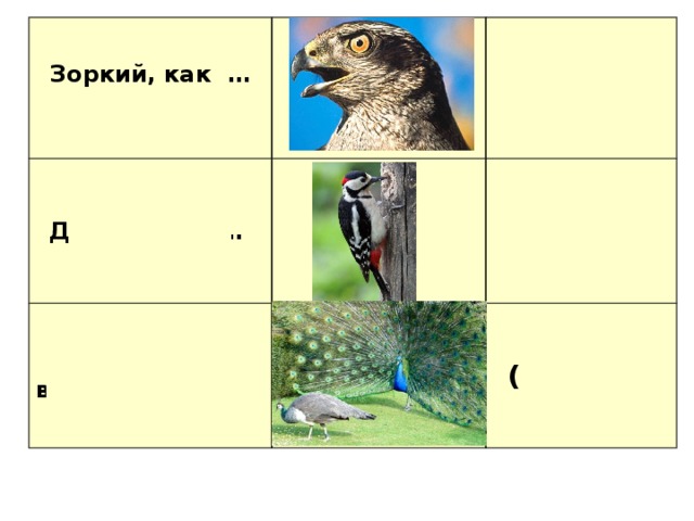 Зоркий, как … Долбит, как …   Выступает величаво, как … сокол   дятел  «пава»   (павлин).       